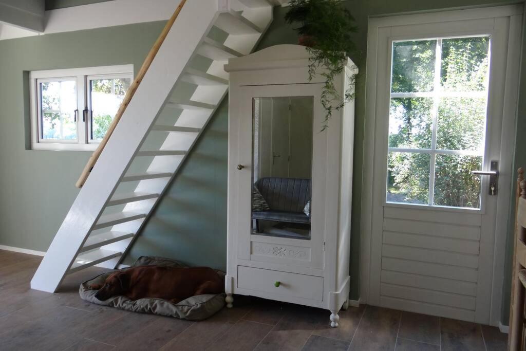 The Green Cottage Ruinen エクステリア 写真